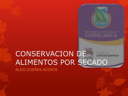 CONSERVACION DE ALIMENTOS POR SECADO