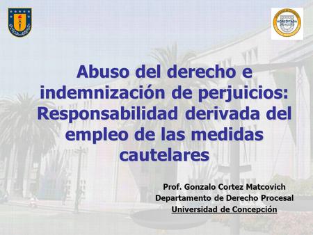 Abuso del derecho e indemnización de perjuicios: Responsabilidad derivada del empleo de las medidas cautelares Prof. Gonzalo Cortez Matcovich.