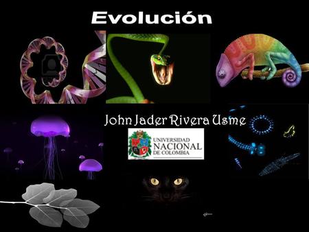 Evolución John Jader Rivera Usme.