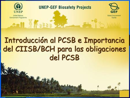 Introducción al PCSB e Importancia del CIISB/BCH para las obligaciones del PCSB.