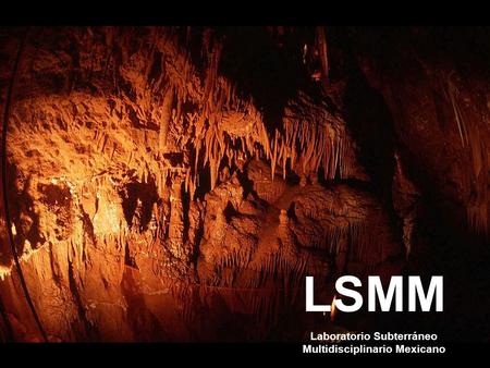 LSMM Laboratorio Subterráneo Multidisciplinario Mexicano.