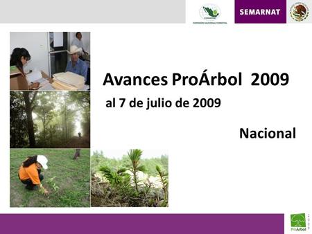 Avances ProÁrbol 2009 al 7 de julio de 2009 20092009 Nacional.