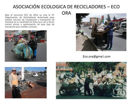 ASOCIACIÓN ECOLOGICA DE RECICLADORES – ECO ORA Bajo el convenio 033 de 2012 se crea la 1ª. Organización de Recicladores Autorizada para prestar servicio.