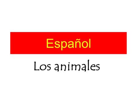 Español Los animales.