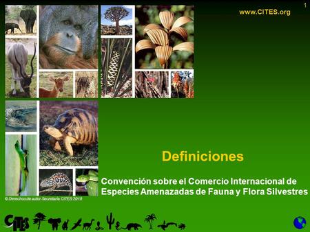 Www.CITES.org Definiciones Convención sobre el Comercio Internacional de Especies Amenazadas de Fauna y Flora Silvestres © Derechos de autor Secretaría.