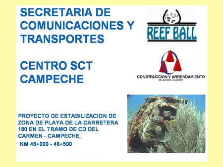 Ancho: 1.22 m Alto.0.90 m Peso: 680 – 998 kg Volumen: 0.25 m³ Área: 7.00 m² Número de hoyos: 17-24 FICHA TÉCNICA PALLET.