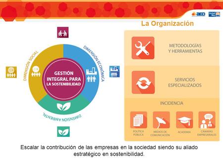 La Organización Escalar la contribución de las empresas en la sociedad siendo su aliado estratégico en sostenibilidad.