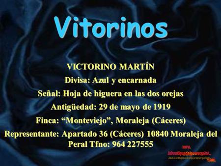 Vitorinos VICTORINO MARTÍN Divisa: Azul y encarnada