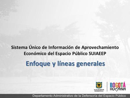 Enfoque y líneas generales