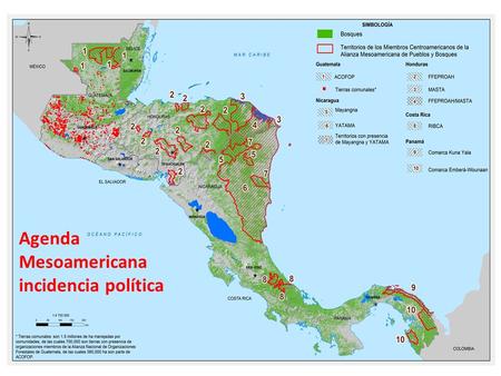 Agenda Mesoamericana incidencia política. Dinámicas nacionales Bosques Agenda Indígena Valorización económica gestión comunitaria Temas centrales Gobernanza.
