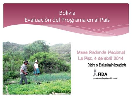 Bolivia Evaluación del Programa en al País 1. A.Presentación de la evaluación B.El programa FIDA en Bolivia C.Contexto del sector rural campesino D.Hallazgos.
