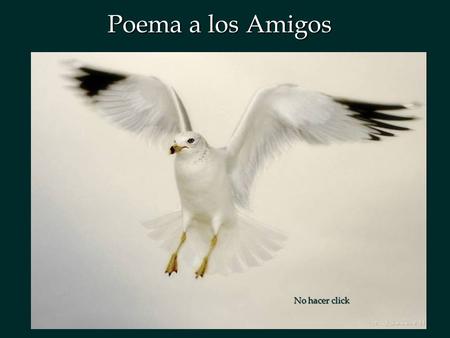 Poema a los Amigos No hacer click.