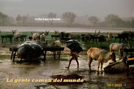 India bajo la lluvia 1 10-7-2013 India bajo la lluvia 2.