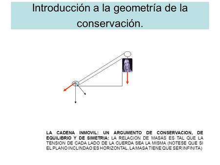 Introducción a la geometría de la conservación. LA CADENA INMOVIL: UN ARGUMENTO DE CONSERVACION, DE EQUILIBRIO Y DE SIMETRIA: LA RELACION DE MASAS ES TAL.