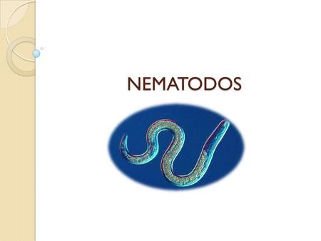 NEMATODOS.