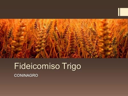 Fideicomiso Trigo CONINAGRO. FIDEICOMISO TRIGO  Certificado de Estimulo para la Producción Agropecuaria CEPAGA  Fideicomiso del Banco Nación.  Consejo.