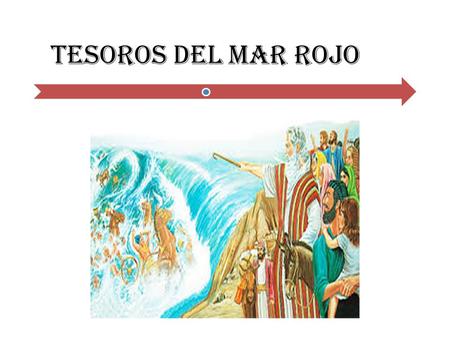 TESOROS DEL MAR ROJO.
