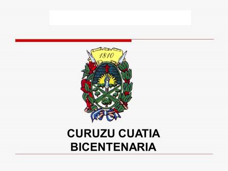DEPARTAMENTO EJECUTIVO MUNICIPAL Organigrama 2010 CURUZU CUATIA BICENTENARIA.