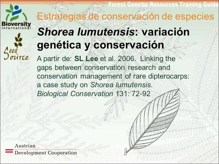 Estrategias de conservación de especies Shorea lumutensis: variación genética y conservación A partir de: SL Lee et al. 2006. Linking the gaps between.