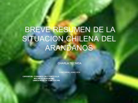 BREVE RESUMEN DE LA SITUACION CHILENA DEL ARANDANOS