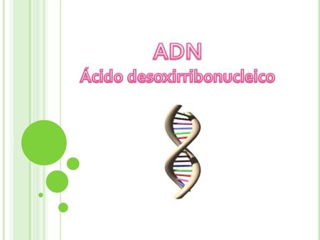Ácido desoxirribonucleico