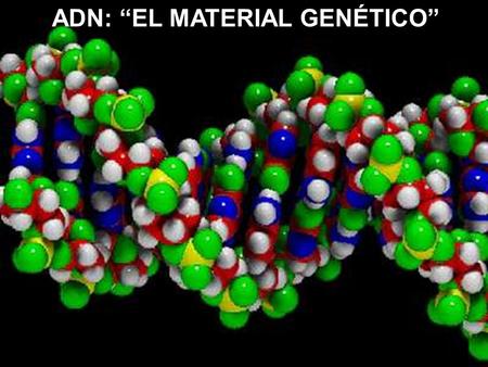 ADN: “EL MATERIAL GENÉTICO”. CONTRIBUCIONES HISTÓRICAS 1859 – C. DARWINEL ORIGEN DE LAS ESPECIES. 1865 – G. MENDELHERENCIA UNITARIA - SEGREGACIÓN. 1869.