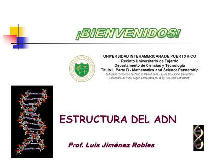 Prof. Luis Jiménez Robles ESTRUCTURA DEL ADN UNIVERSIDAD INTERAMERICANA DE PUERTO RICO Recinto Universitario de Fajardo Departamento de Ciencias y Tecnología.