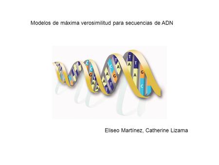 Modelos de máxima verosimilitud para secuencias de ADN