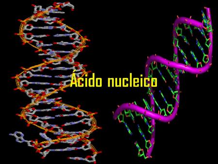 Los ácidos nucleicos son macromoléculas, polímeros formados por la repetición de monómeros llamados nucleótidos, unidos mediante enlaces fosfodiéster.