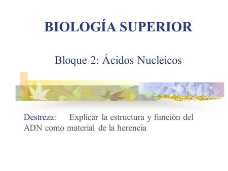 Bloque 2: Ácidos Nucleicos