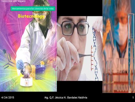 4/24/2015Mg. Q.F. Jéssica N. Bardales Valdivia1 Herramientas para las ciencias de la vida Biotecnology.