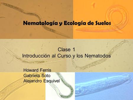 Nematología y Ecología de Suelos
