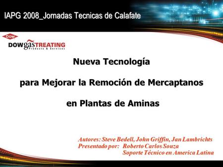 IAPG 2008_Jornadas Tecnicas de Calafate Nueva Tecnología para Mejorar la Remoción de Mercaptanos en Plantas de Aminas en Plantas de Aminas Autores: Steve.