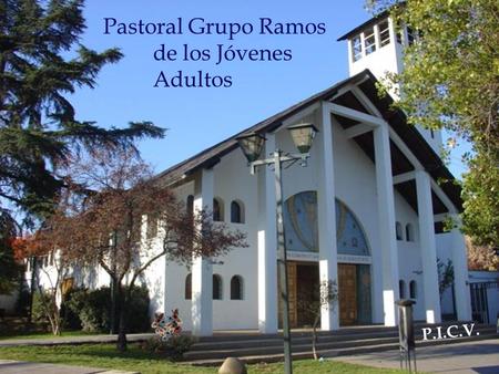 Pastoral Grupo Ramos de los Jóvenes Adultos P.I.C.V.