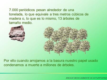 7.000 periódicos pesan alrededor de una tonelada, lo que equivale a tres metros cúbicos de madera o, lo que es lo mismo, 13 árboles de tamaño medio. Por.