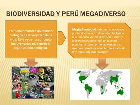 BIODIVERSIDAD Y PERÚ MEGADIVERSO