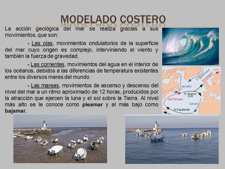 Modelado costero La acción geológica del mar se realiza gracias a sus movimientos, que son: - Las olas, movimientos ondulatorios de la superficie del.