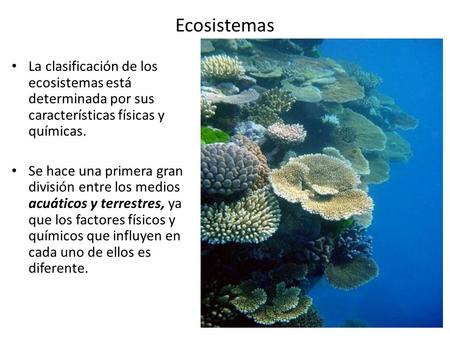 Ecosistemas La clasificación de los ecosistemas está determinada por sus características físicas y químicas. Se hace una primera gran división entre los.