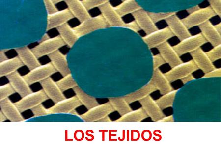 LOS TEJIDOS.