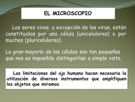 EL MICROSCOPIO Los seres vivos, a excepción de los virus, están constituidos por una célula (unicelulares) o por muchas (pluricelulares). La gran mayoría.