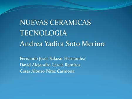 Andrea Yadira Soto Merino