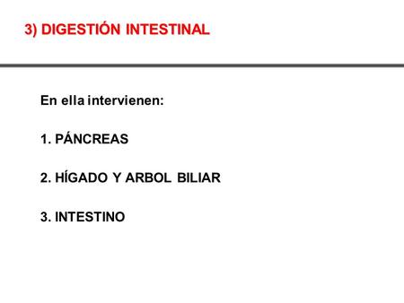 3) DIGESTIÓN INTESTINAL