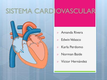 SISTEMA CARDIOVASCULAR
