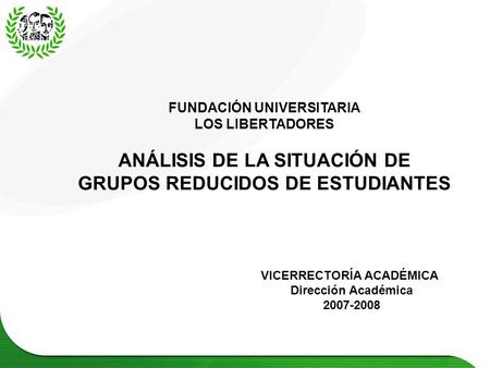 FUNDACIÓN UNIVERSITARIA LOS LIBERTADORES ANÁLISIS DE LA SITUACIÓN DE GRUPOS REDUCIDOS DE ESTUDIANTES VICERRECTORÍA ACADÉMICA Dirección Académica 2007-2008.