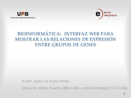 BIOINFORMÁTICA: INTERFAZ WEB PARA MOSTRAR LAS RELACIONES DE EXPRESIÓN ENTRE GRUPOS DE GENES Autor: Jose Luis Aylas Flores Direcció: Mario Huerta (IBB-UAB)