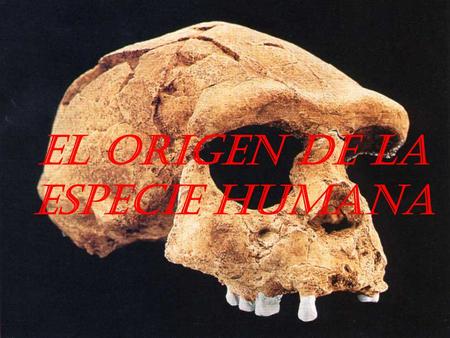 El origen de la especie humana