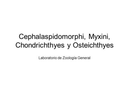 Cephalaspidomorphi, Myxini, Chondrichthyes y Osteichthyes