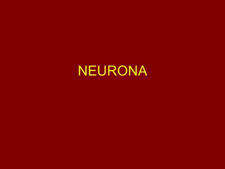 NEURONA.
