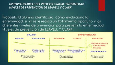 Niveles de prevención de LEAVELL Y CLARK