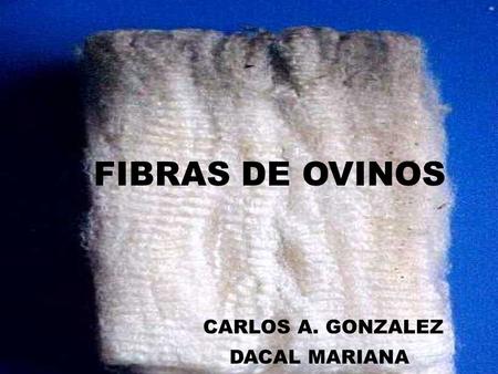 FIBRAS DE OVINOS CARLOS A. GONZALEZ DACAL MARIANA.
